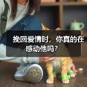 挽回爱情时,你真的在感动他吗?(图2) 挽回爱情时,你真的在感动他吗?(图2)