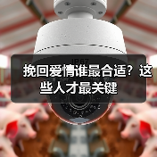 挽回爱情谁最合适?这些人才最关键(图4) 挽回爱情谁最合适?这些人才最关键(图4)