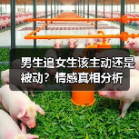 男生追女生该主动还是被动?情感真相分析(图1) 男生追女生该主动还是被动?情感真相分析(图1)