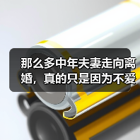 那么多中年夫妻走向离婚,真的只是因为不爱了吗?(图4) 那么多中年夫妻走向离婚,真的只是因为不爱了吗?(图4)