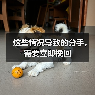 这些情况导致的分手,需要立即挽回(图3) 这些情况导致的分手,需要立即挽回(图3)