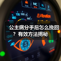 公主病分手后怎么挽回?有效方法揭秘(图1) 公主病分手后怎么挽回?有效方法揭秘(图1)