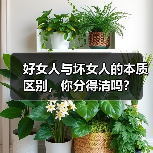 好女人与坏女人的本质区别,你分得清吗?(图4) 好女人与坏女人的本质区别,你分得清吗?(图4)