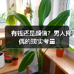 有钱还是颜值?男人择偶的现实考量(图3) 有钱还是颜值?男人择偶的现实考量(图3)