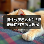 假性分手怎么办?3招正确挽回方法大揭秘(图3) 假性分手怎么办?3招正确挽回方法大揭秘(图3)