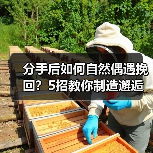 分手后如何自然偶遇挽回?5招教你制造邂逅机会(图4) 分手后如何自然偶遇挽回?5招教你制造邂逅机会(图4)