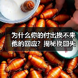 为什么你的付出换不来他的回应?揭秘挽回失败的关键真相(图4) 为什么你的付出换不来他的回应?揭秘挽回失败的关键真相(图4)