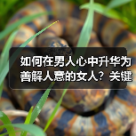 如何在男人心中升华为善解人意的女人?关键方法揭秘(图2) 如何在男人心中升华为善解人意的女人?关键方法揭秘(图2)