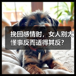 挽回感情时,女人别太懂事反而适得其反?(图3) 挽回感情时,女人别太懂事反而适得其反?(图3)