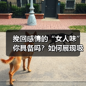 挽回感情的“女人味”你具备吗?如何展现吸引异性的魅力?(图4) 挽回感情的“女人味”你具备吗?如何展现吸引异性的魅力?(图4)