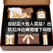 原配最大敌人竟是?出轨后冲动离婚埋下祸根(图2) 原配最大敌人竟是?出轨后冲动离婚埋下祸根(图2)