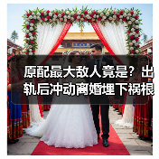 原配最大敌人竟是?出轨后冲动离婚埋下祸根(图3) 原配最大敌人竟是?出轨后冲动离婚埋下祸根(图3)