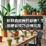 断联真能挽回感情？生搬硬套技巧适得其反（图4）