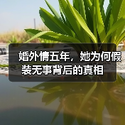 婚外情五年，她为何假装无事背后的真相（图2）
