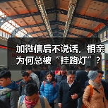 加微信后不说话，相亲为何总被“挂路灯”？（图3）