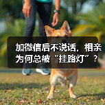 加微信后不说话，相亲为何总被“挂路灯”？（图4）