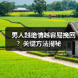 男人越绝情越容易挽回？关键方法揭秘（图3）