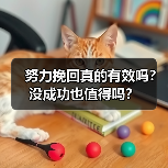 努力挽回真的有效吗？没成功也值得吗？（图2）