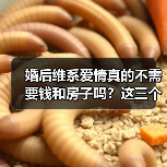 婚后维系爱情真的不需要钱和房子吗？这三个方法让你更幸福（图3）