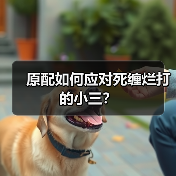 原配如何应对死缠烂打的小三？（图3）