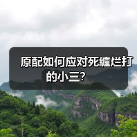 原配如何应对死缠烂打的小三？（图4）