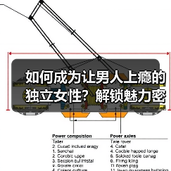 如何成为让男人上瘾的独立女性？解锁魅力密码（图1）