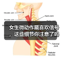 女生微动作藏喜欢信号,这些细节你注意了吗?(图1) 女生微动作藏喜欢信号,这些细节你注意了吗?(图1)