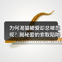 为何渴望被爱却总被忽视?揭秘爱的索取陷阱(图4) 为何渴望被爱却总被忽视?揭秘爱的索取陷阱(图4)