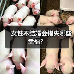女性不结婚会错失哪些幸福?(图4) 女性不结婚会错失哪些幸福?(图4)