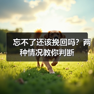 忘不了还该挽回吗?两种情况教你判断(图1) 忘不了还该挽回吗?两种情况教你判断(图1)