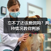 忘不了还该挽回吗?两种情况教你判断(图4) 忘不了还该挽回吗?两种情况教你判断(图4)