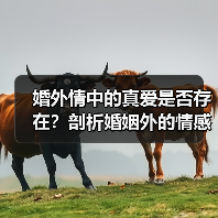 婚外情中的真爱是否存在？剖析婚姻外的情感真相（图4）