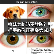 撩妹套路防不胜防?手把手教你正确姿势成功出击(图1) 撩妹套路防不胜防?手把手教你正确姿势成功出击(图1)