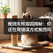 挽回失败原因揭秘:你还在用错误方式挽回吗?(图1) 挽回失败原因揭秘:你还在用错误方式挽回吗?(图1)