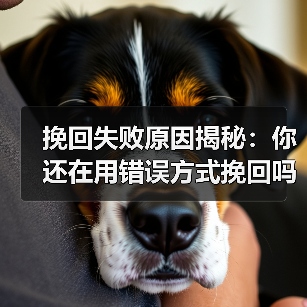 挽回失败原因揭秘:你还在用错误方式挽回吗?(图3) 挽回失败原因揭秘:你还在用错误方式挽回吗?(图3)