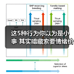 这5种行为你以为是小事 其实暗藏索要情绪价值的烦恼(图1) 这5种行为你以为是小事 其实暗藏索要情绪价值的烦恼(图1)
