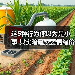 这5种行为你以为是小事 其实暗藏索要情绪价值的烦恼(图2) 这5种行为你以为是小事 其实暗藏索要情绪价值的烦恼(图2)