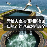 异地夫妻如何判断老婆出轨?外遇应对策略全解析(图3) 异地夫妻如何判断老婆出轨?外遇应对策略全解析(图3)