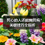 死心的人还能挽回吗?关键技巧全解析(图2) 死心的人还能挽回吗?关键技巧全解析(图2)