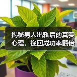 揭秘男人出轨后的真实心理,挽回成功率翻倍(图2) 揭秘男人出轨后的真实心理,挽回成功率翻倍(图2)
