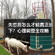 失恋后怎么才能真正放下?心理调整全攻略(图3) 失恋后怎么才能真正放下?心理调整全攻略(图3)