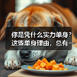 你是凭什么实力单身?这些单身理由,总有一条戳中你(图2) 你是凭什么实力单身?这些单身理由,总有一条戳中你(图2)