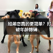 姐弟恋真的更简单?打破年龄障碍(图2) 姐弟恋真的更简单?打破年龄障碍(图2)