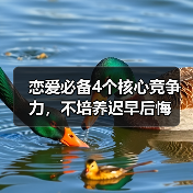 恋爱必备4个核心竞争力,不培养迟早后悔(图1) 恋爱必备4个核心竞争力,不培养迟早后悔(图1)