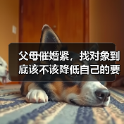 父母催婚紧,找对象到底该不该降低自己的要求?这些人说了实话(图4) 父母催婚紧,找对象到底该不该降低自己的要求?这些人说了实话(图4)