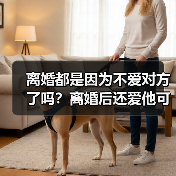 离婚都是因为不爱对方了吗？离婚后还爱他可以复婚挽回吗？