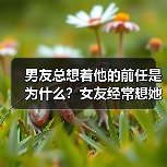 男友总想着他的前任是为什么?女友经常想她的前任怎么办?(图2) 男友总想着他的前任是为什么?女友经常想她的前任怎么办?(图2)