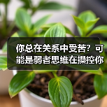 你总在关系中受苦?可能是弱者思维在操控你!(图1) 你总在关系中受苦?可能是弱者思维在操控你!(图1)