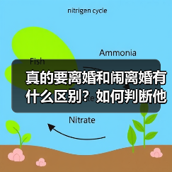 真的要离婚和闹离婚有什么区别?如何判断他是不是真的想离婚吗?(图3) 真的要离婚和闹离婚有什么区别?如何判断他是不是真的想离婚吗?(图3)