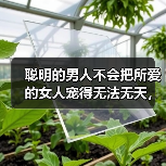 聪明的男人不会把所爱的女人宠得无法无天,而是会这样做(图2) 聪明的男人不会把所爱的女人宠得无法无天,而是会这样做(图2)